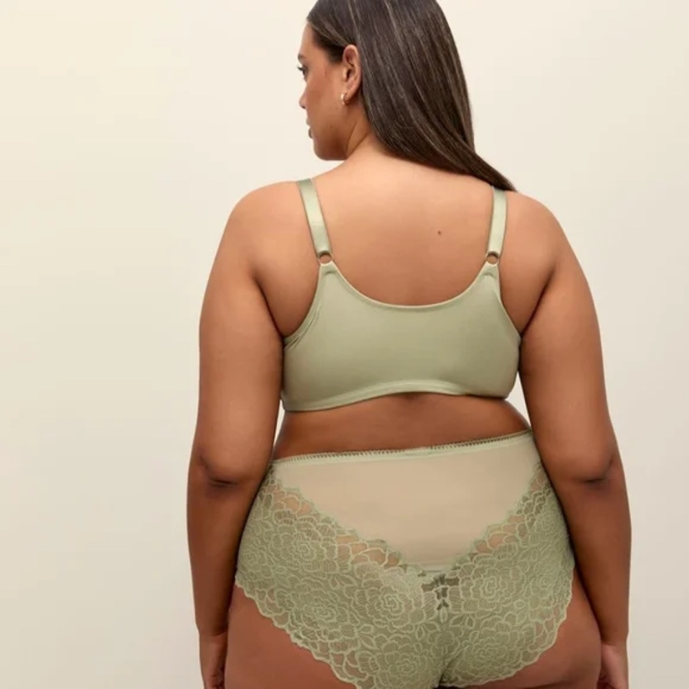 2 Deesse Lingerie Olive and Lavender Panties